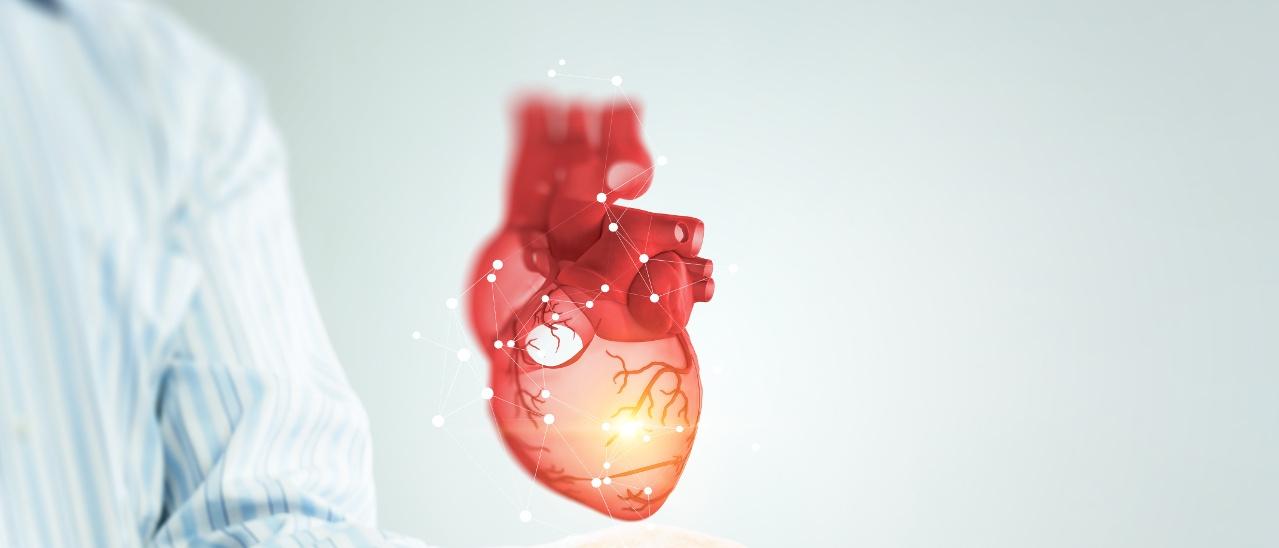 05_AdobeStock_267898597