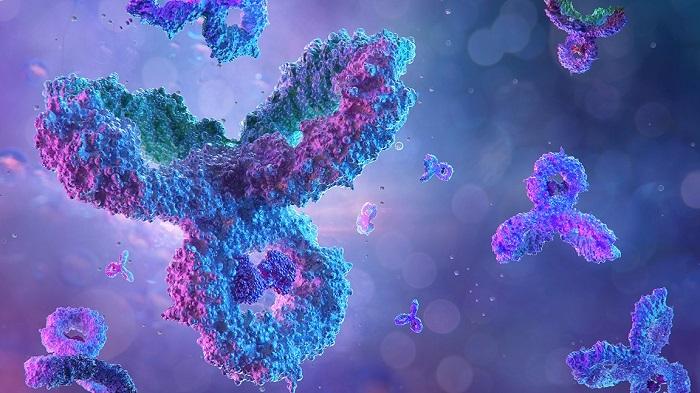 Biotherapeutics monoclonal antibodies PetMedix 2 Biotherapeutics monoclonal antibodies PetMedix 2