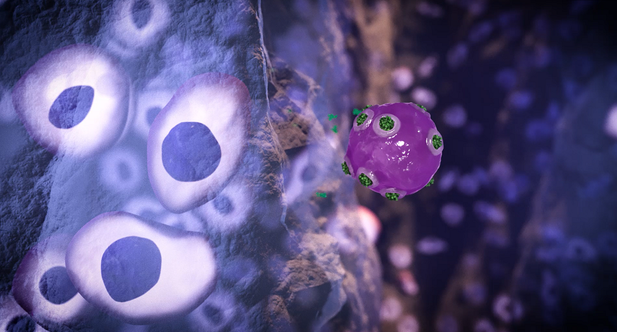 Stem_cells_a_new_frontier003 Stem_cells_a_new_frontier003