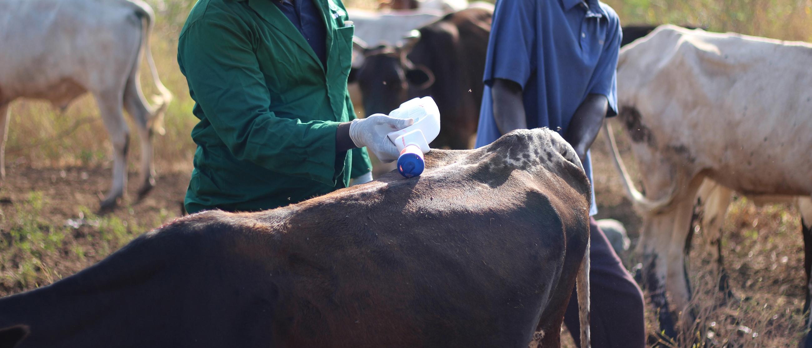 This_ensures_food_security_for_one_year_003