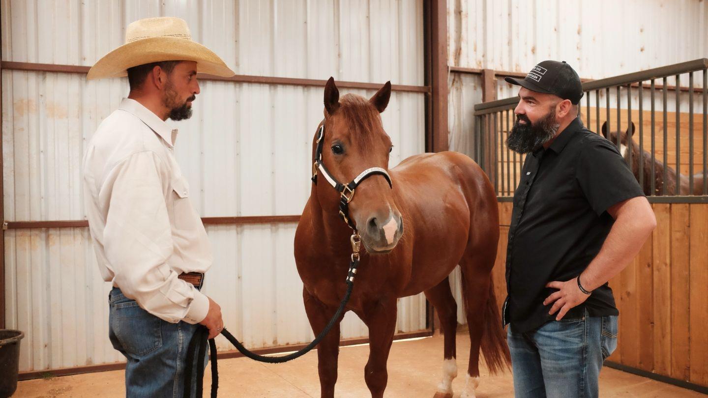 有意义的工作：同事们分享他们的理由