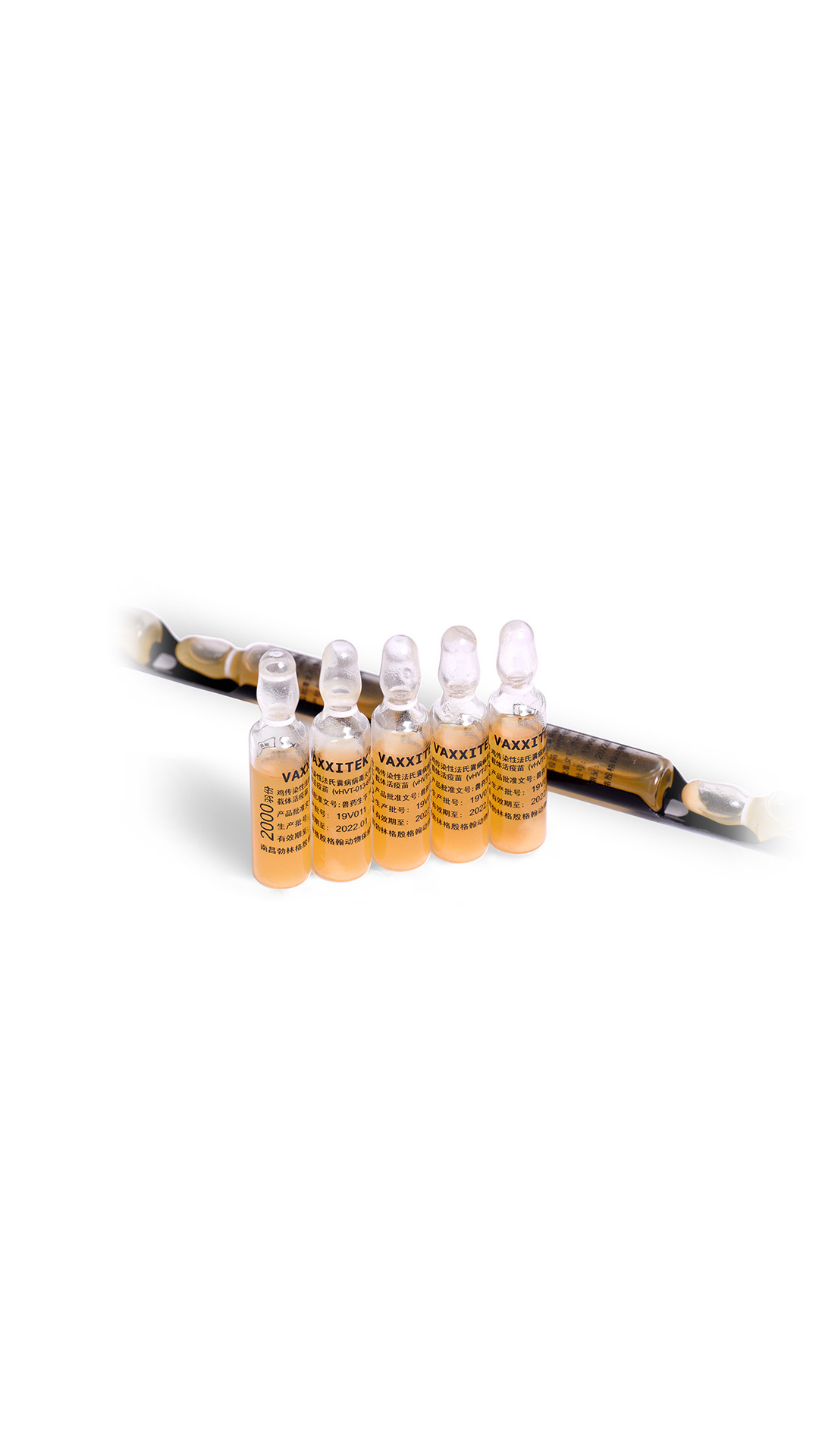 VAXXITEK® (鸡传染性法氏囊病病毒火鸡疱疹病毒载体活疫苗(vHVT-013-69株)) VAXXITEK® (鸡传染性法氏囊病病毒火鸡疱疹病毒载体活疫苗(vHVT-013-69株))