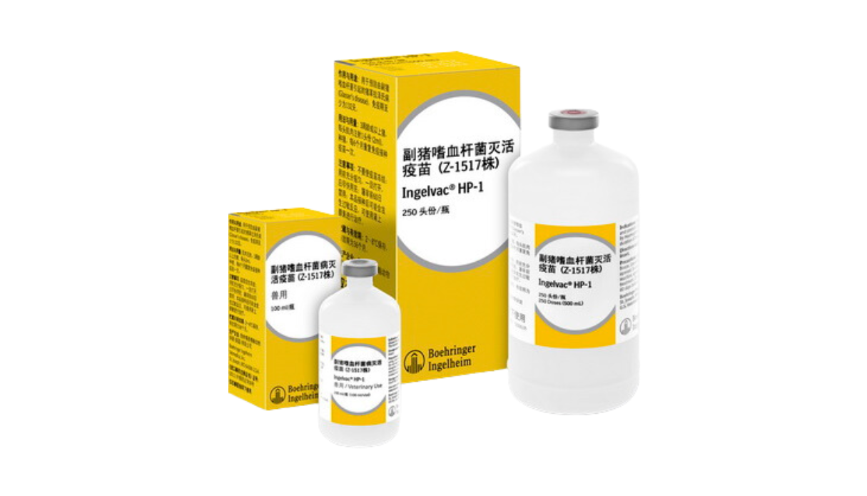 副猪嗜血杆菌病灭活疫苗(12型Z-1517株) 副猪嗜血杆菌病灭活疫苗(12型Z-1517株)