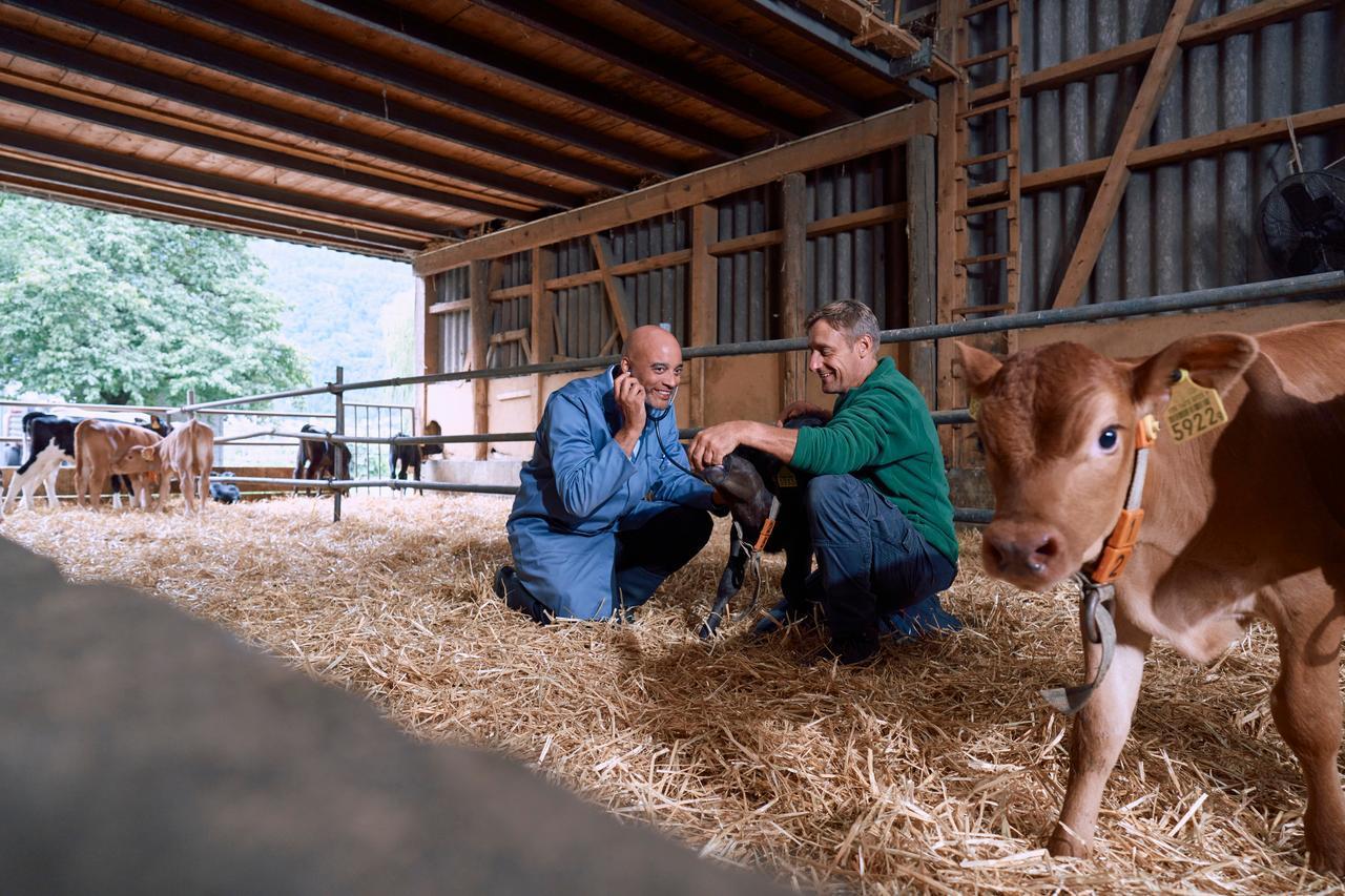 Transboundary animal diseases