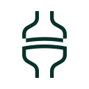 synapse synapse