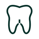 tooth tooth