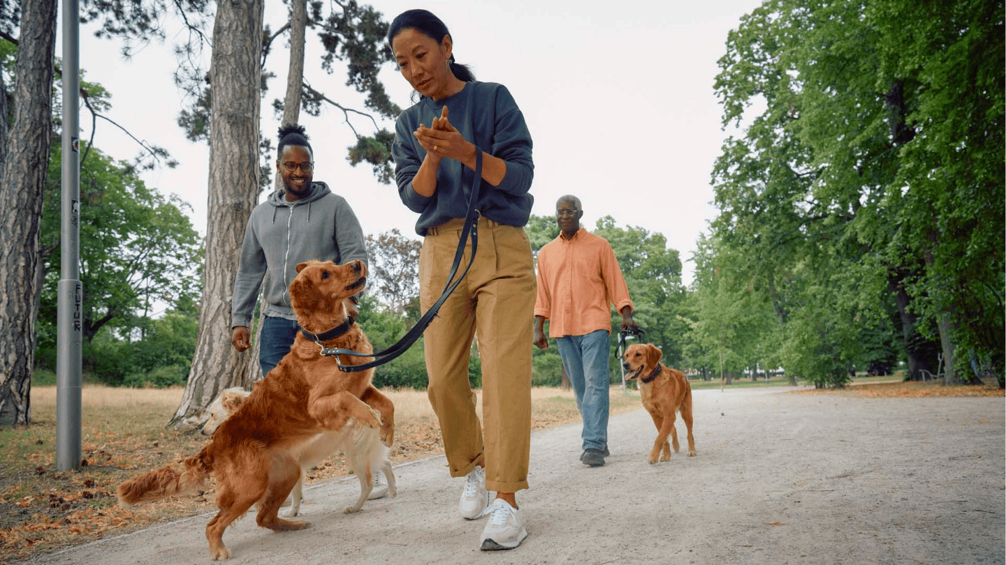 我们的专注——我们的文化框架