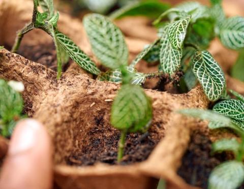 Boehringer_Lifestyle_FamilyLife