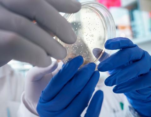 Boehringer Workplace