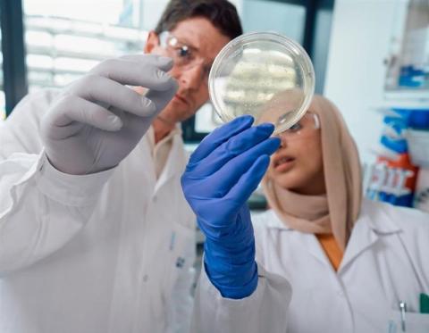 Boehringer_Workplace_Lab_Discussion-01_RGB_004