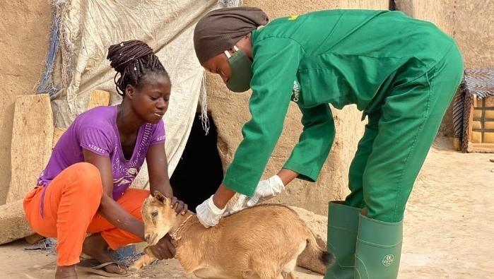 Ghana Update3